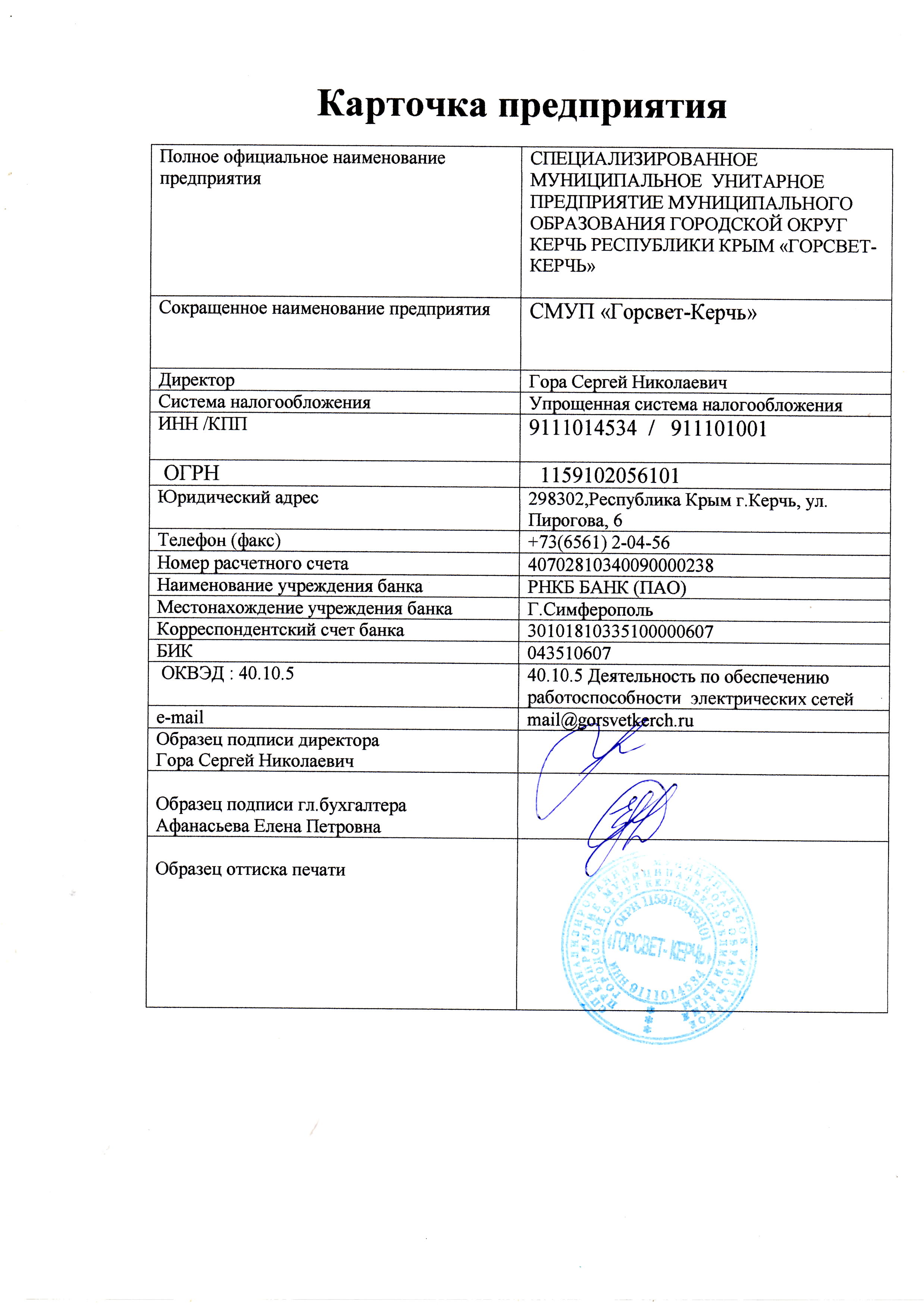 Карточка организации ип образец