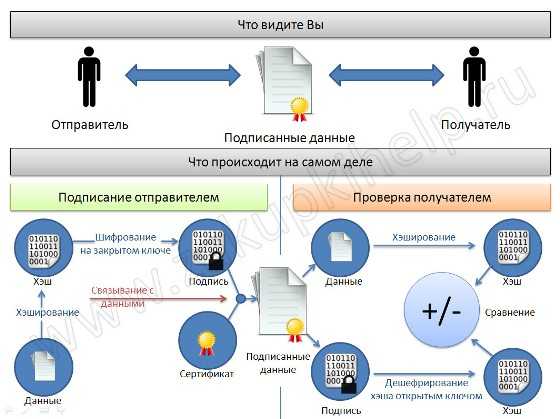 Сколько стоит электронная подпись