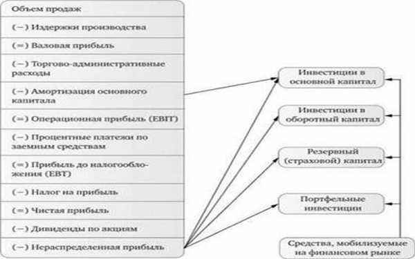 Инвестиции в основной капитал где посмотреть в 1с